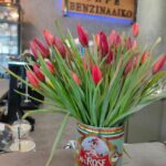 coffee delivery Mani Peninsula