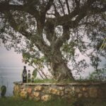 Local Organic Products in the Mani Peninsula