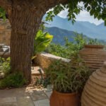 Estate Agent Kardamyli