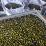 Refined Extra Virgin Olive Oil Mani