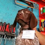 Auto service in Kardamyli