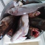 beachfront taverna in Stoupa