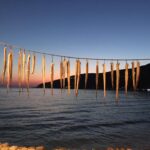 Fish tavern in Neo Oitylo